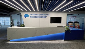 USDT游戏平台出版传媒股份有限公司